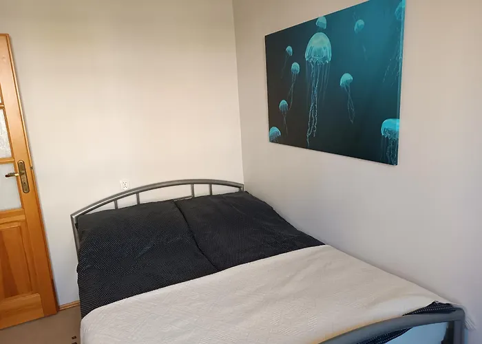 Mieszkanie 3 Władysławowo